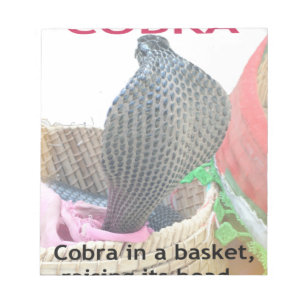 Cobra in Basket Art Print Notepad