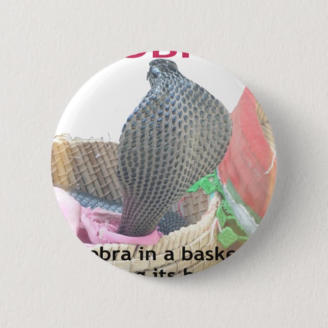 Cobra in Basket Art Print Pinback Button (Front)