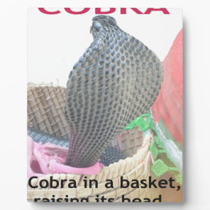 Cobra in Basket Art Print Plaque