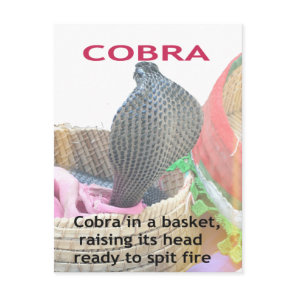 Cobra in Basket Art Print Postcard