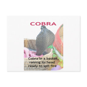 Cobra in Basket Art Print Postcard