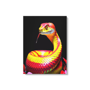 Cobra snake with vibrant red and yellow scales canvas print