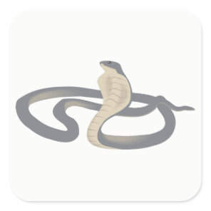 Cobra Square Sticker