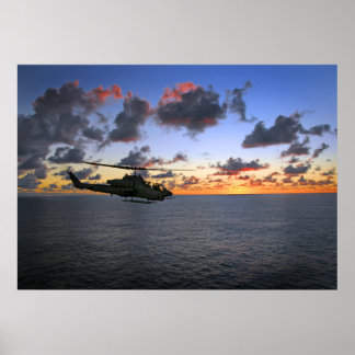 Cobra Sunset Poster