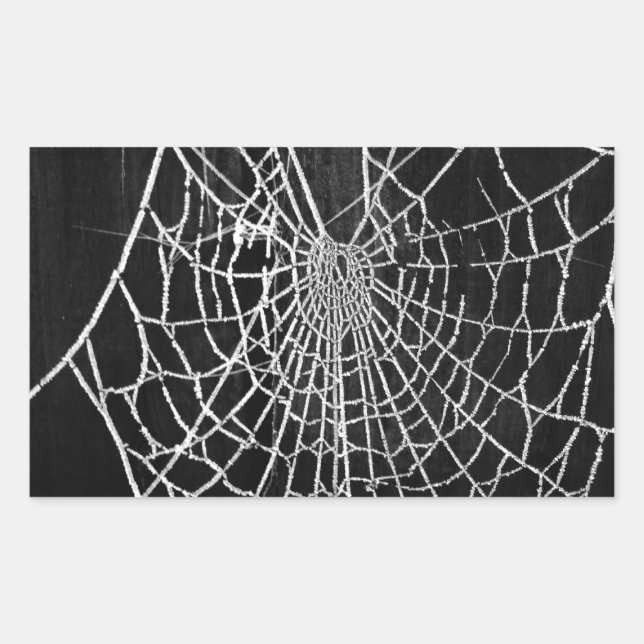 Cobweb Rectangular Sticker (Front)