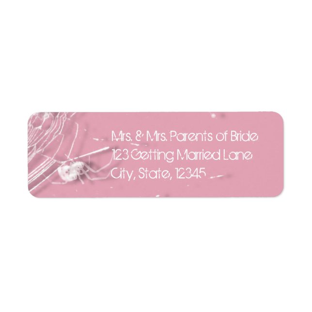 Cobwebs and White Spiders Label (Front)