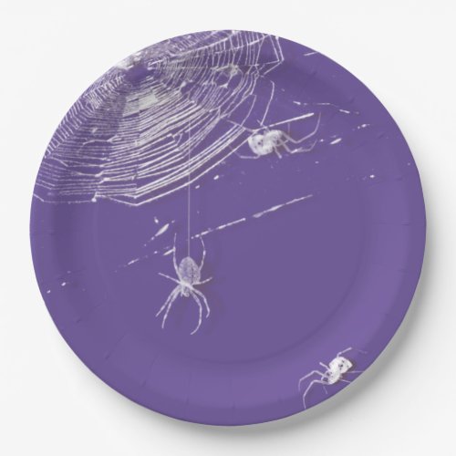 Cobwebs and White Spiders Paper Plates