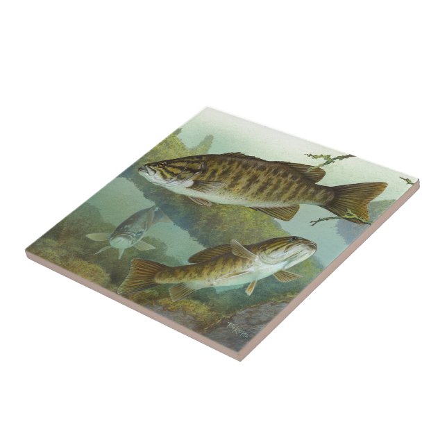 Coccibus Ceramic Tile (Side)