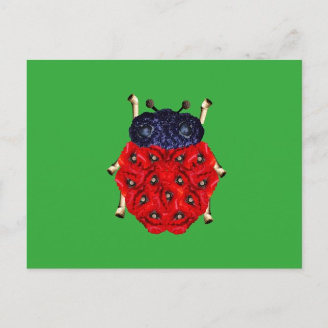 Coccinelle Postcard (Front)
