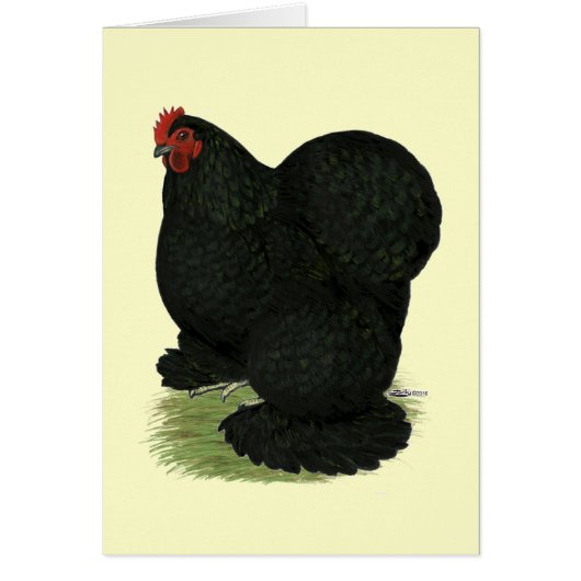 Cochin:  Black Hen Cards (Front)