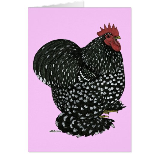 Cochin: Black Mottle (Front)