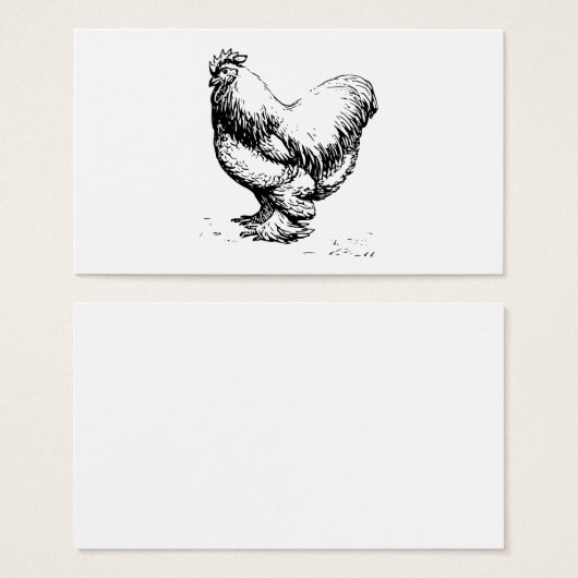 Cochin Chicken (Front & Back)