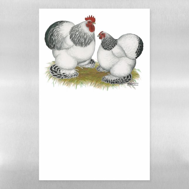 Cochin Columbian Bantams Magnetic Dry Erase Sheet (Vertical)