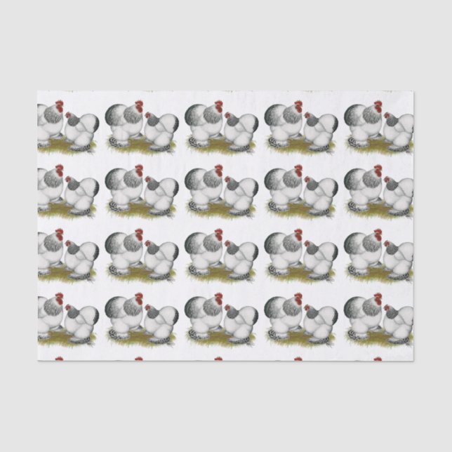 Cochin Columbian Bantams Tissue Paper (Front)