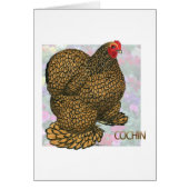 Cochin:  Gold-laced Hen (Front)