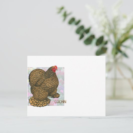 Cochin:  Gold-laced Hen (Standing Front)