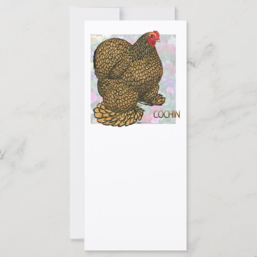 Cochin: Gold-laced Hen (Front)