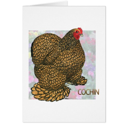 Cochin:  Gold-laced Hen Cards (Front)