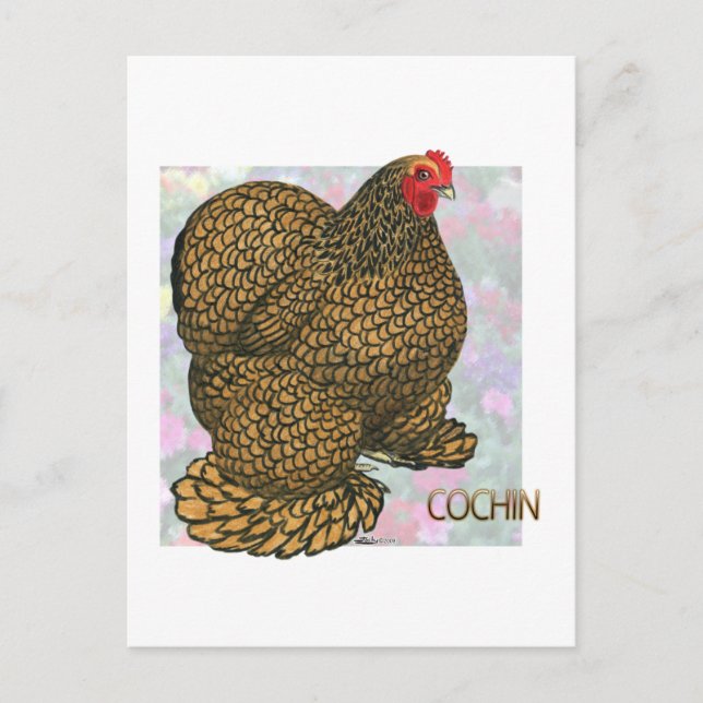Cochin:  Gold-laced Hen Postcard (Front)