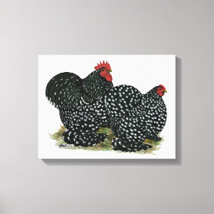 Cochin Mottled Chickens Canvas Print