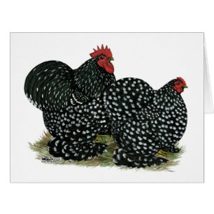 Cochin Mottled Chickens Cards