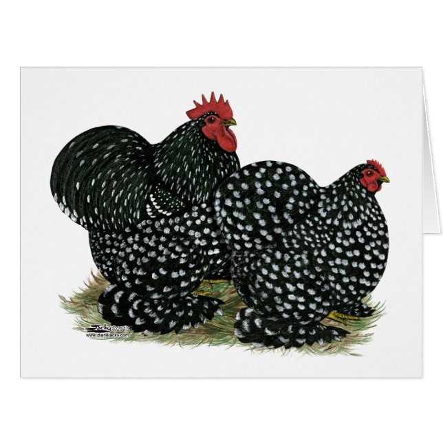 Cochin Mottled Chickens Cards (Front Horizontal)