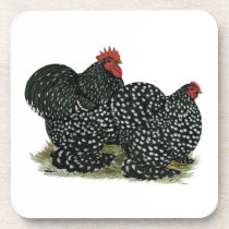Cochin Mottled Chickens Drink Coaster