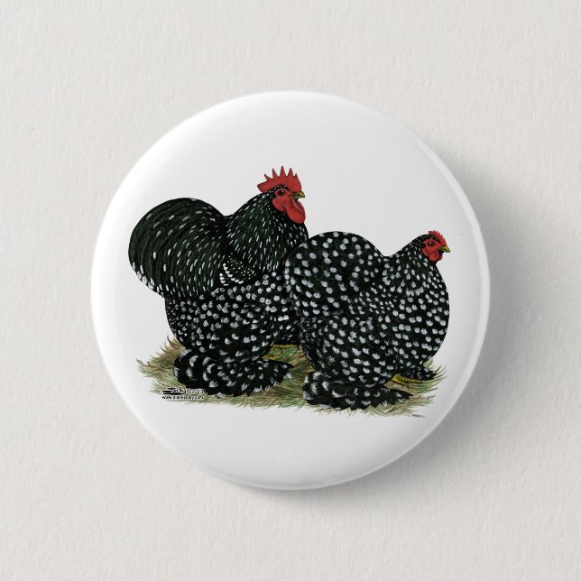 Cochin Mottled Chickens Pinback Button (Front)