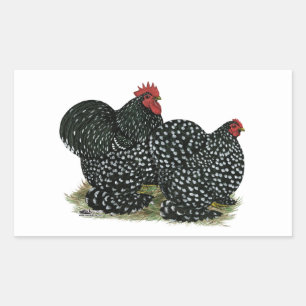 Cochin Mottled Chickens Rectangular Sticker