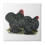 Cochin Mottled Chickens Tile