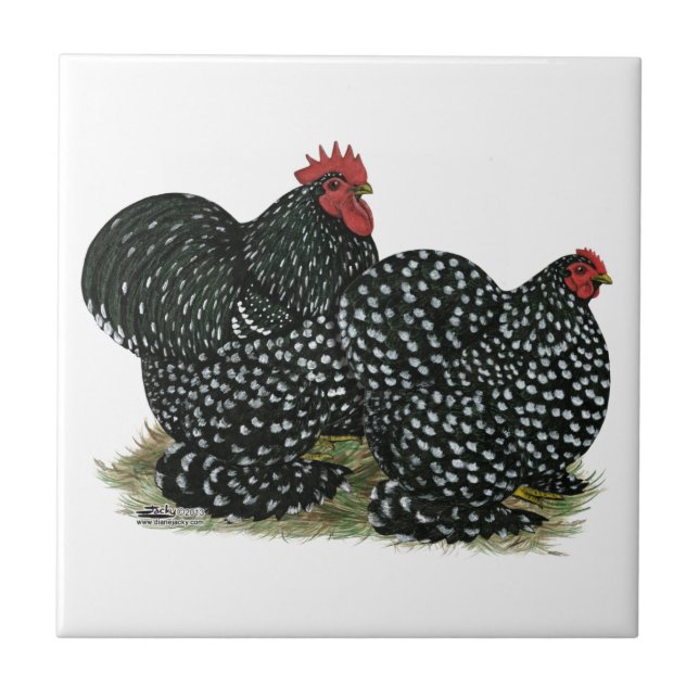 Cochin Mottled Chickens Tile (Front)