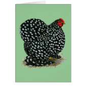 Cochin Mottled Hen (Front)