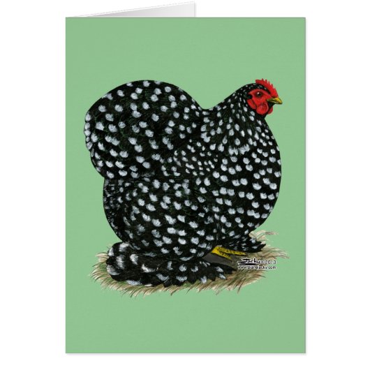 Cochin Mottled Hen Cards (Front)