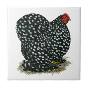 Cochin Mottled Hen Ceramic Tile