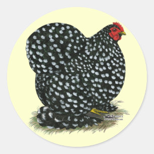 Cochin Mottled Hen Classic Round Sticker
