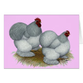 Cochin:  Self Blue (Front Horizontal)