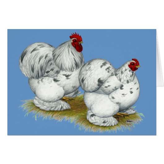 Cochin: Splash Bantams Cards (Front Horizontal)
