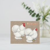 Cochin:  White Bantams (Standing Front)