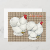 Cochin:  White Bantams (Front/Back)