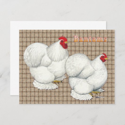 Cochin:  White Bantams (Front/Back)