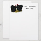 Cochins Black Bantam Pair (Front/Back)