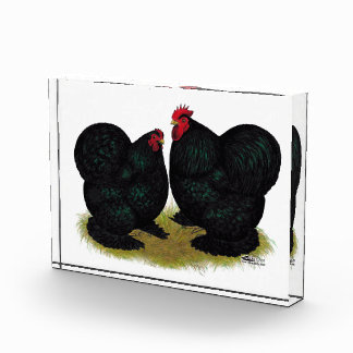 Cochins Black Bantam Pair Award