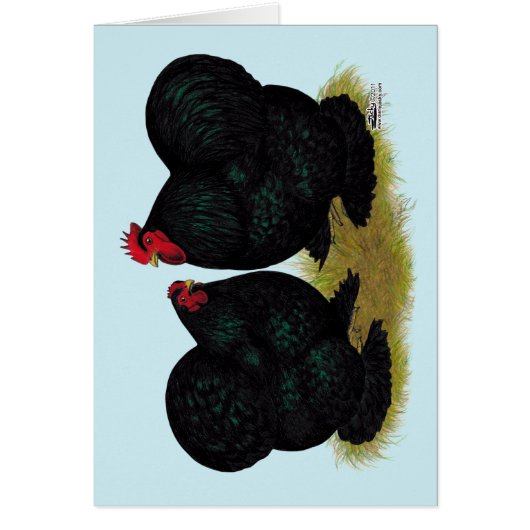 Cochins Black Bantam Pair Cards (Front)