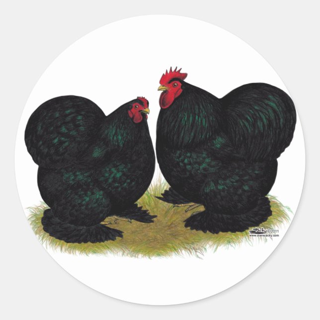 Cochins Black Bantam Pair Classic Round Sticker (Front)