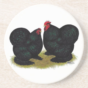 Cochins Black Bantam Pair Coaster