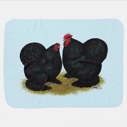 Cochins Black Bantam Pair Swaddle Blanket