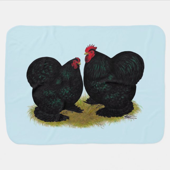 Cochins Black Bantam Pair Swaddle Blanket (Horizontal)