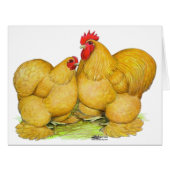 Cochins Buff Pair (Front Horizontal)