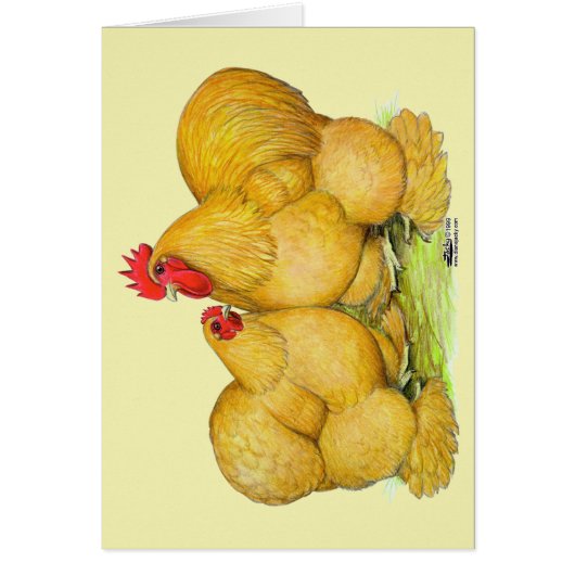 Cochins Buff Pair Cards (Front)