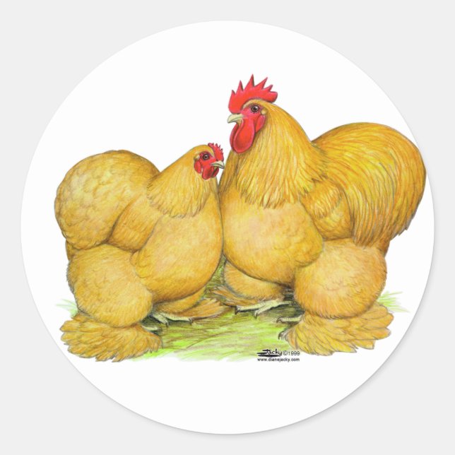 Cochins Buff Pair Classic Round Sticker (Front)